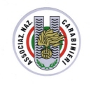 adesivo a.n