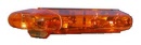 calotta stargazer