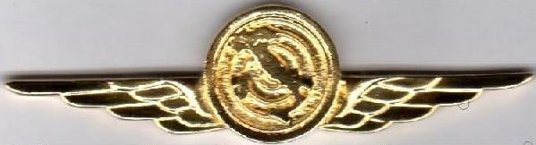 brevetto pins spilla pilota militare americano usaf brevetto pins spilla pilota militare americano usaf