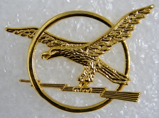 Distintivo Esercito Americano Distintivo Tattico Militare 'Send It' - Morale Patch Esercito 1x4 Con Gancio E Bandiera Patch Militare Personalizzati